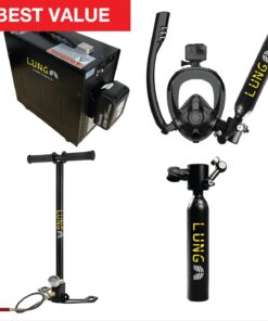 electric supercharger turbocharger